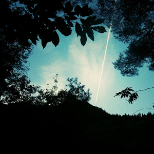 午夜A级毛片免费观看真人
